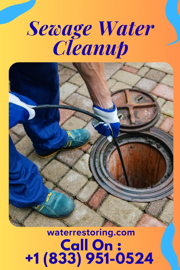 Sewage Water Cleanup in Ashland, LA